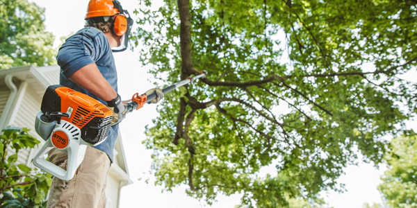 Sawing & Pruning category